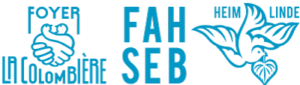 FAH-SEB : Fondation FAH-SEB établissements pour personnes en situation d'handicap